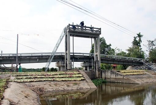 Hậu Giang: Quyết liệt ứng phó hạn, mặn