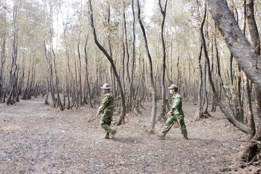An Giang tiếp tục có nắng nóng đến 36<sup>o</sup>C trong 5 ngày tới