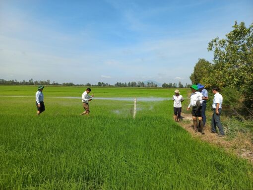 Đảm bảo thắng lợi sản xuất nông nghiệp