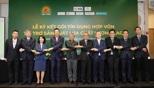 An Giang sẵn sàng tham gia vào đề án lớn