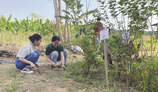 Môi trường lành mạnh của các bạn trẻ