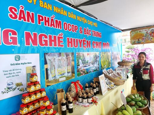 Chợ Mới phát triển kinh tế - xã hội