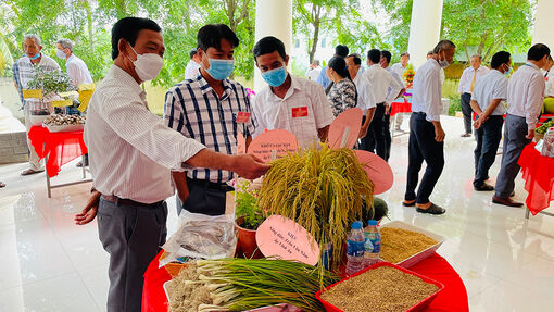 Hỗ trợ nông dân Vĩnh Phước làm giàu