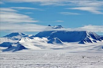 Các nhà khoa học thành công trong việc lưu trữ mẫu băng cổ xưa ở Bắc Cực