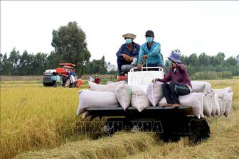 Nông sản thế giới tuần qua: Giá gạo Việt Nam lên mức cao nhất trong hai năm