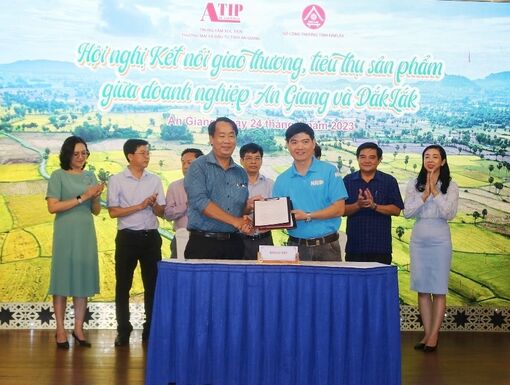 Kết nối giao thương, tiêu thụ sản phẩm giữa An Giang và Đắk Lắk