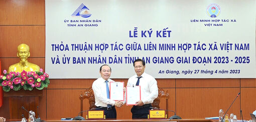 An Giang ký kết thỏa thuận hợp tác về phát triển kinh tế tập thể, hợp tác xã giai đoạn 2023 – 2025