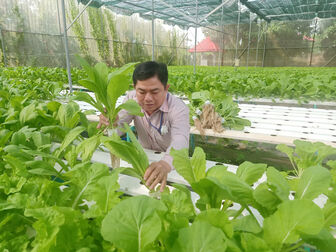 Sản xuất nông nghiệp hiệu quả ở huyện An Phú