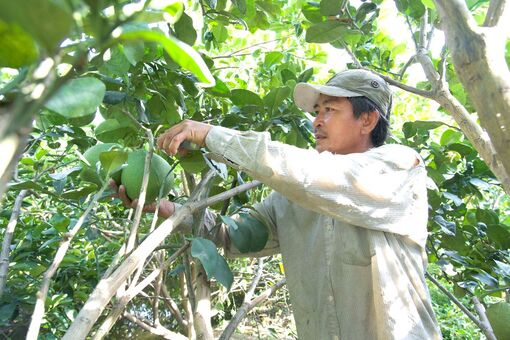 Châu Thành nỗ lực phát triển kinh tế - xã hội