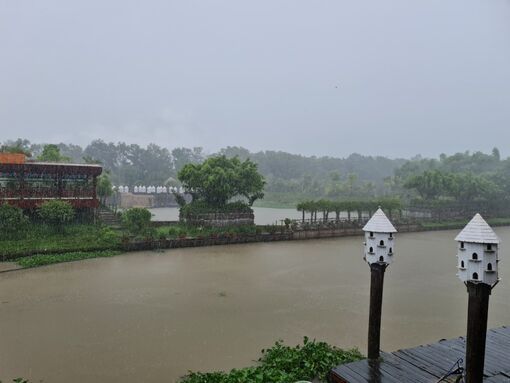 Mưa xuất hiện nhiều từ giữa tháng 5/2023