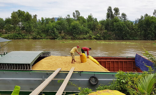 An Giang nâng chất tổ hợp tác thành hợp tác xã