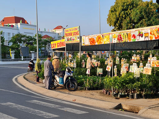 Tiếp tục có nắng nóng xảy ra trên toàn tỉnh An Giang
