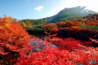 Những điểm đến đẹp nhất Nhật Bản không phải ai cũng biết