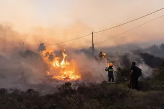 Cháy rừng gây thiệt hại lớn tại tỉnh Kurgan của Nga