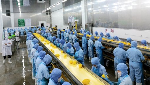 Đoàn kiểm tra liên ngành Trung ương kiểm tra an toàn thực phẩm tại An Giang