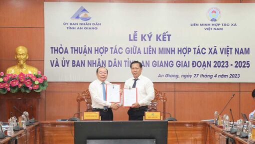 An Giang phát triển kinh tế tập thể