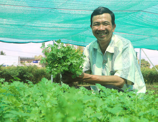 Đồng Tháp: Tạo đòn bẩy cho nông sản hữu cơ