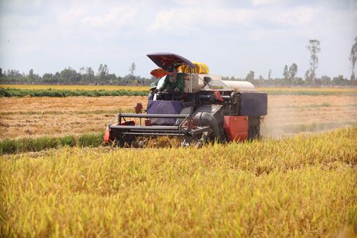 Long An: Nhiều nông sản trúng mùa, được giá