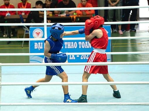 Sự tiến bộ của Boxing An Giang