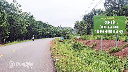 Thủ tướng Chính phủ đồng ý đầu tư tuyến đường kết nối tỉnh Bình Phước và Đồng Nai