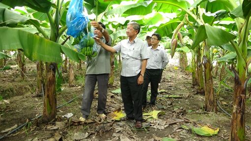 Xây dựng nông nghiệp hiện đại ở huyện miền núi