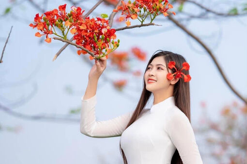 Mưa và những chùm hoa thắp lửa