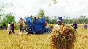 Thách thức về giảm phát thải trong sản xuất lúa