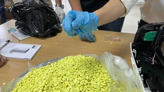 Thu giữ hơn 7kg ma túy vận chuyển từ Đức về Việt Nam