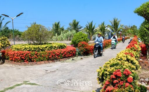 Ðường quê Khánh Tiến rực sắc