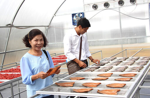 Nâng cao năng suất dựa trên khoa học - công nghệ