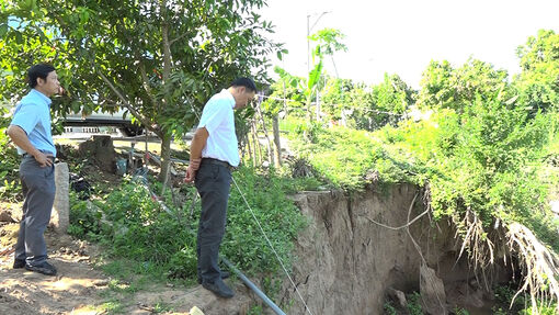 Sạt lở bờ sông Bình Di, xã Khánh Bình
