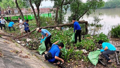 Hơn 400 người tham gia vớt rác ven sông Bến Tre