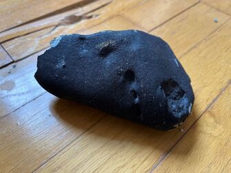 Gia đình ở Mỹ phát hiện mảnh sao chổi Halley 4,6 tỷ năm tuổi trong phòng ngủ
