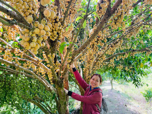 An Giang: Nông dân làm du lịch sinh thái