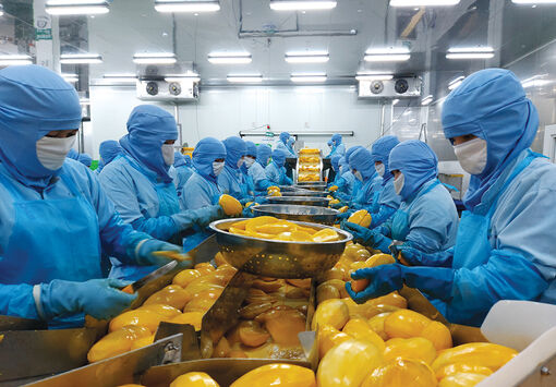 An Giang phát triển doanh nghiệp, hợp tác xã bằng khoa học và công nghệ