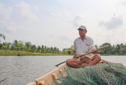 Mô hình sản xuất tôm - lúa hiệu quả ở Kiên Giang