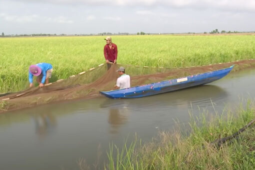 Phát huy lợi thế mùa lũ, tạo sinh kế bền vững vùng thượng nguồn ĐBSCL