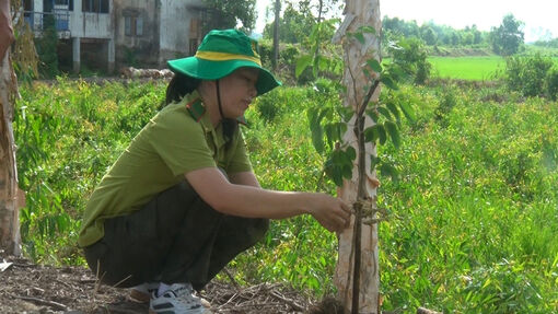 Bảo vệ “lá phổi xanh”