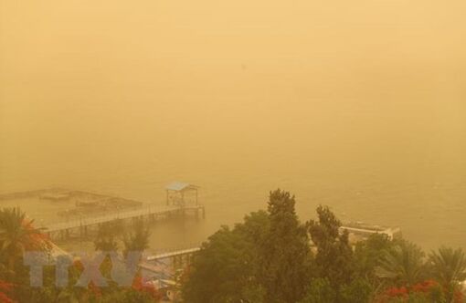 Ai Cập: Bão cát lớn quét qua Cairo gây thiệt hại nghiêm trọng