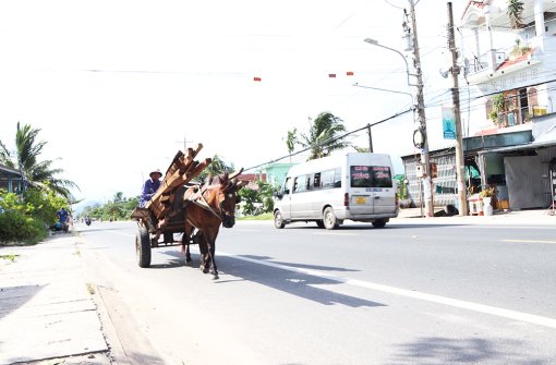 Một ngày của Nâu