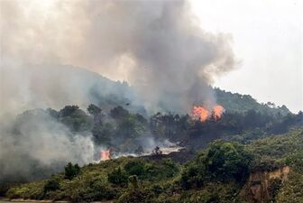 Cháy rừng ở tỉnh Quảng Ninh khiến hai người dân tử vong