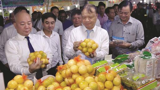 An Giang liên kết xúc tiến thương mại, hợp tác đầu tư