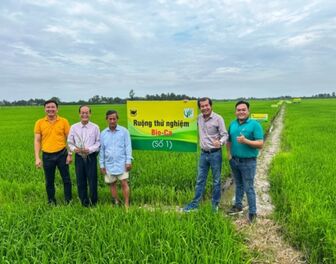 Bio-Ca- chế phẩm tăng pH đất để nâng cao hiệu quả của canh tác lúa vùng đất phèn khu vực ĐBSCL