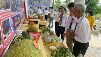 Hỗ trợ nông dân Phú Tân phát triển các mô hình kinh tế