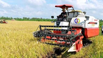 Triển vọng tích cực trong xuất khẩu gạo