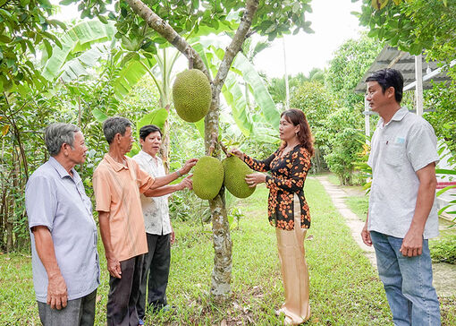 Cần Thơ: Ðồng hành cùng nông dân làm giàu