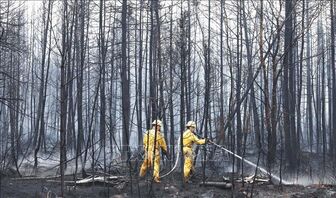 Hàng trăm lính cứu hỏa từ EU tham gia chữa cháy rừng tại Canada