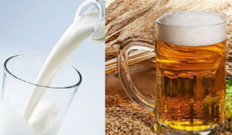 Bia kết hợp với sữa tươi có tác dụng gì?