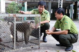 Việt Nam và Lào tăng cường hợp tác bảo vệ rừng và động vật hoang dã