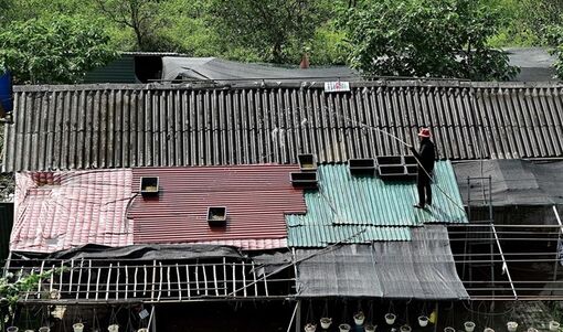 Cách người dân châu Á hạ nhiệt trong các đợt nắng nóng thiêu đốt